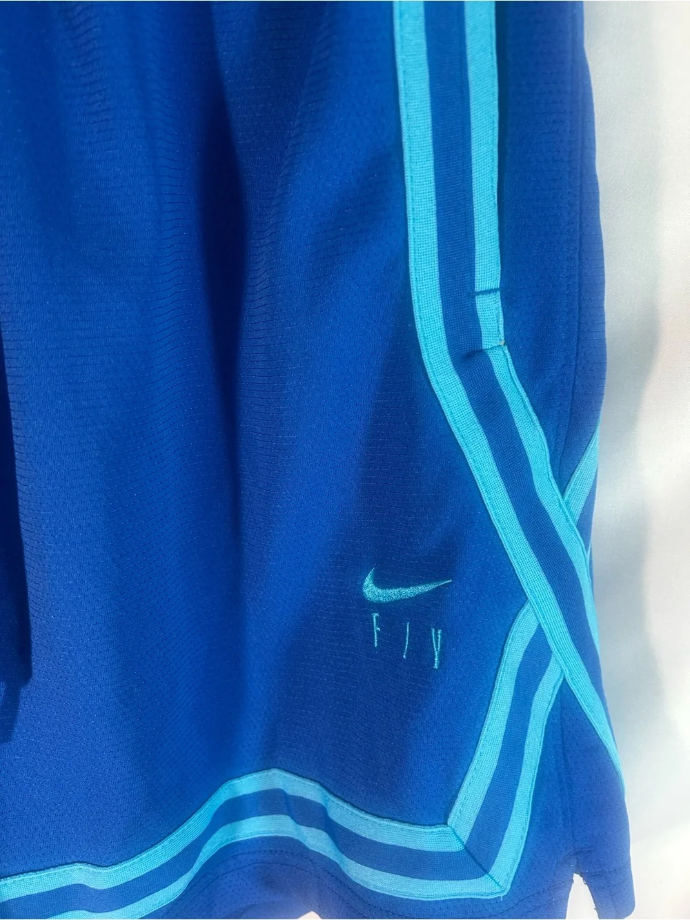 Nike Women’s Royal Blue Athletic Shorts with Aqua Stripes
